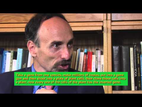 Chapatti Special - The Truth About GMO, With GMO Expert Jeffrey Smith,